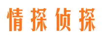 墉桥市私家侦探